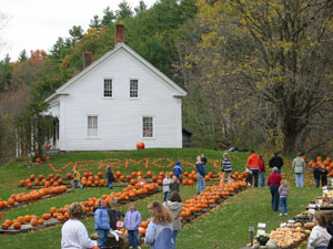 Pumpkins at Vermont Farm